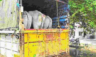 ಪೊಲೀಸರ ಕಣ್ಣು ತಪ್ಪಿಸಿ ಎಸ್ಕೇಪ್ ಆಗಿತ್ತಿದ್ದ ಇಬ್ಬರ ವಿರುದ್ಧ ಪ್ರಕರಣ ದಾಖಲು