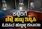 ಉಸ್ಮಾನಾಬಾದ್ ಟೋಲ್ ಗೇಟ್–ತುಳಜಾ ಭವಾನಿ ರಸ್ತೆ ಮಧ್ಯೆ ಖತರ್ನಾಕ್ ಕಳ್ಳರ ಗ್ಯಾಂಗ್: ಹುಬ್ಬಳ್ಳಿಯ ಕುಟುಂಬವೊಂದು ಎಸ್ಕೇಪ್ ಆಗಿದ್ದೇ ರೋಚಕ